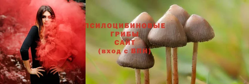 гидра ссылка  Шарыпово  Галлюциногенные грибы Psilocybe  цены наркотик 